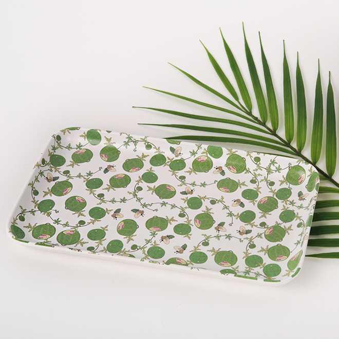 Supercommunication tray (watermelon)
