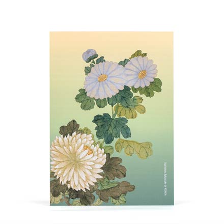 유선 공책(국화)