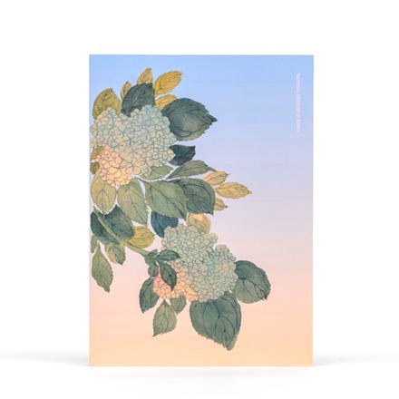 유선 공책(수국)