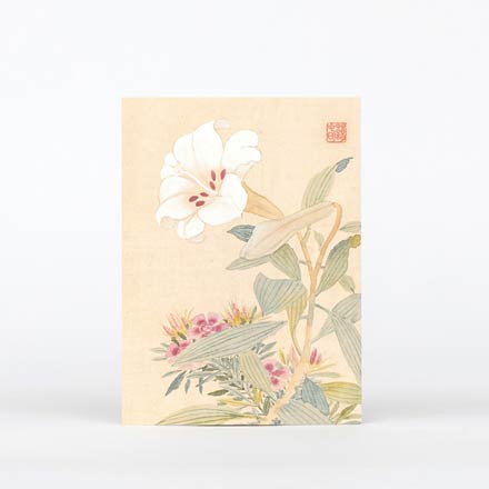 엽서(백합)